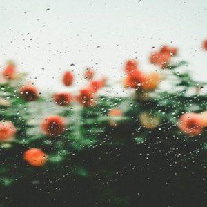 Meet your Posher, Lia